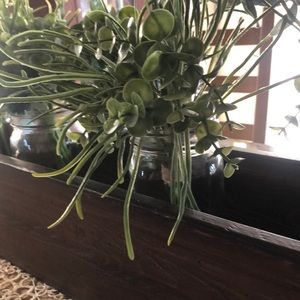 Meet your Posher, Damiano